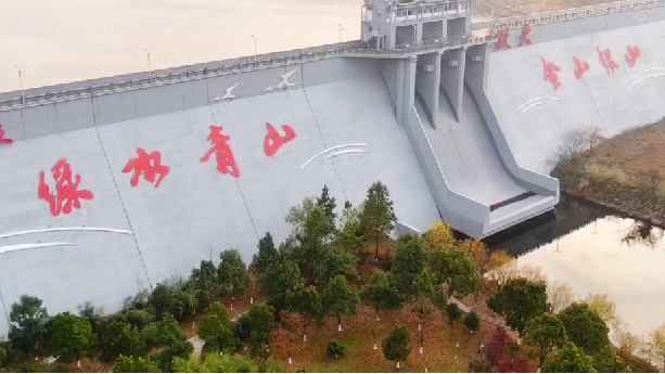 浙江鳳凰水庫大壩修復及防護工程